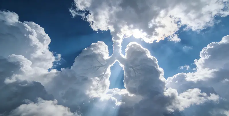 荆门肺癌靶向39基因检测及PDL122C3表达检测套餐（组织）图片1