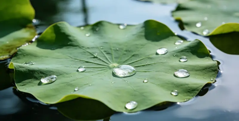 荆门乳腺癌21基因mRNA表达分析图片1