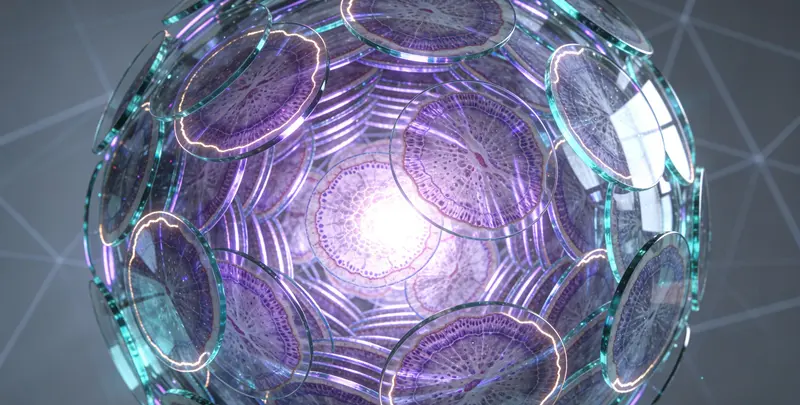 泛实体瘤919基因检测图4