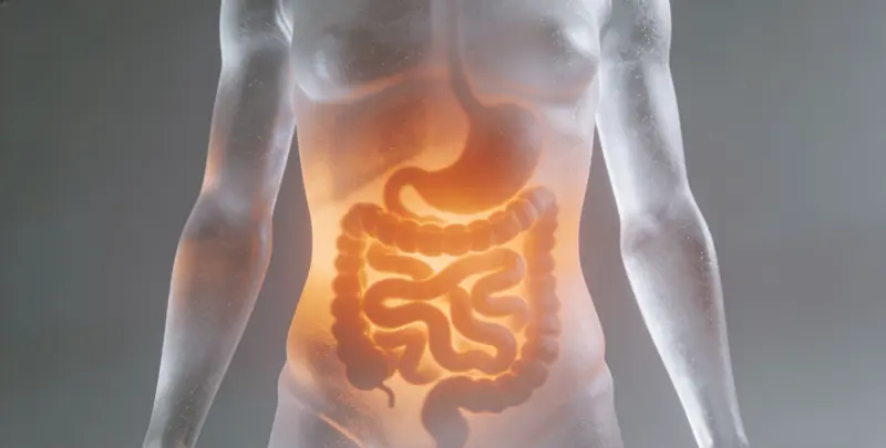 荆门胃癌靶向用药39基因检测（组织）图片1